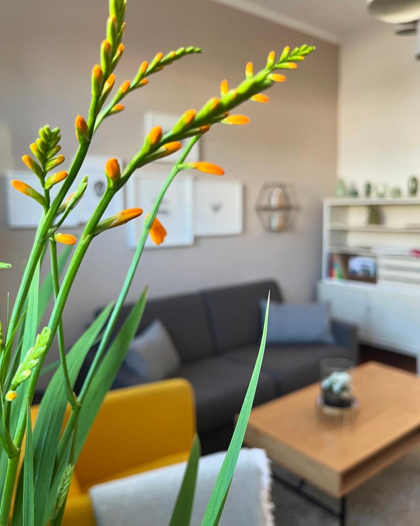 Ferienwohnung Schoenwaelder Mit Kleiner Terrasse Und Wall Box บุกซ์เทอฮูเดอ ภายนอก รูปภาพ